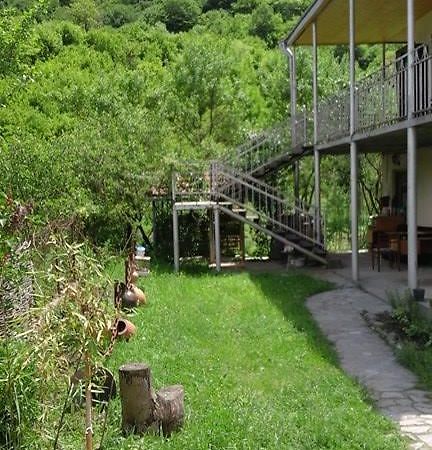 Marine'S Guest House Ananuri ภายนอก รูปภาพ