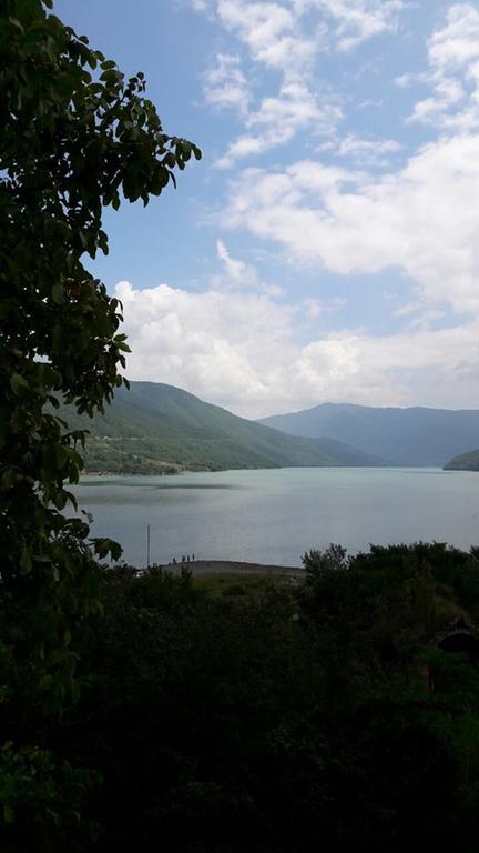 Marine'S Guest House Ananuri ภายนอก รูปภาพ