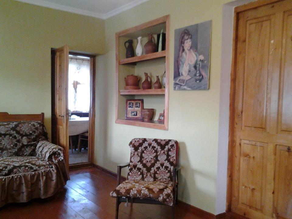 Marine'S Guest House Ananuri ภายนอก รูปภาพ