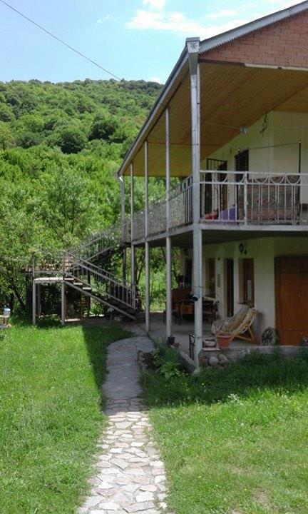Marine'S Guest House Ananuri ภายนอก รูปภาพ