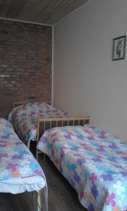 Marine'S Guest House Ananuri ภายนอก รูปภาพ