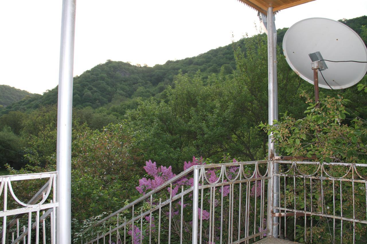 Marine'S Guest House Ananuri ภายนอก รูปภาพ