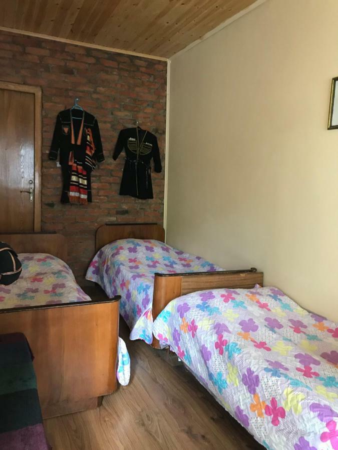 Marine'S Guest House Ananuri ภายนอก รูปภาพ