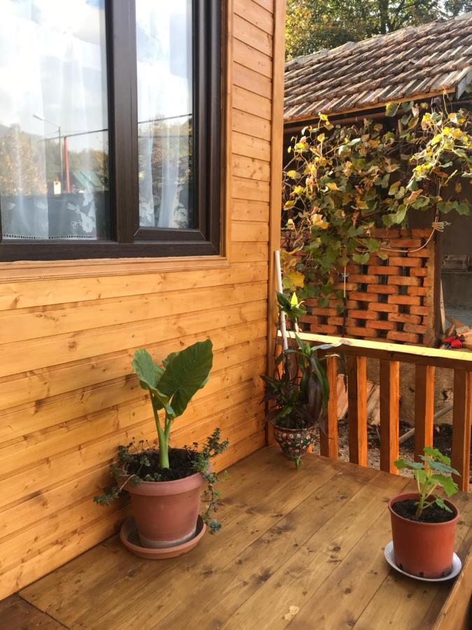 Marine'S Guest House Ananuri ภายนอก รูปภาพ